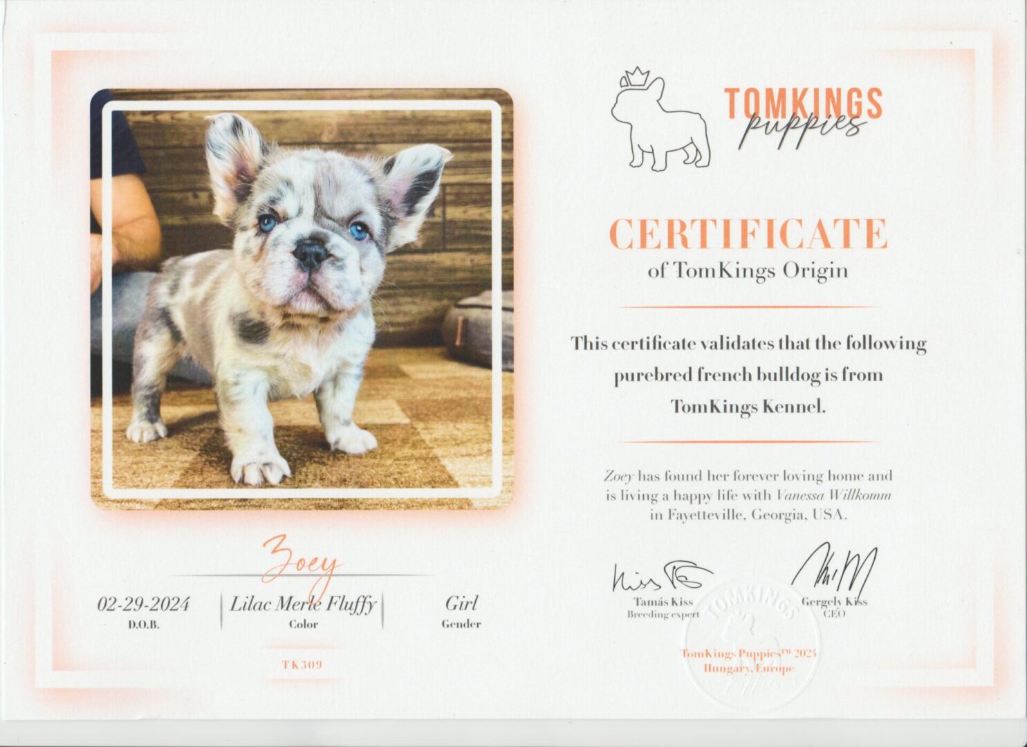 667b15875a355_Zoey TomKing Certificate